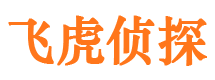 武冈市场调查